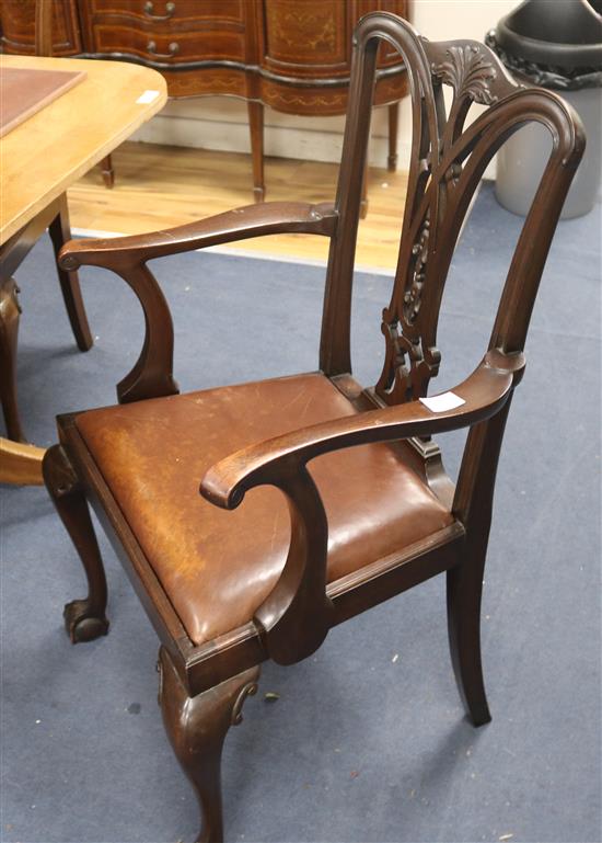 Eight Edwardian Chippendale style dining chairs